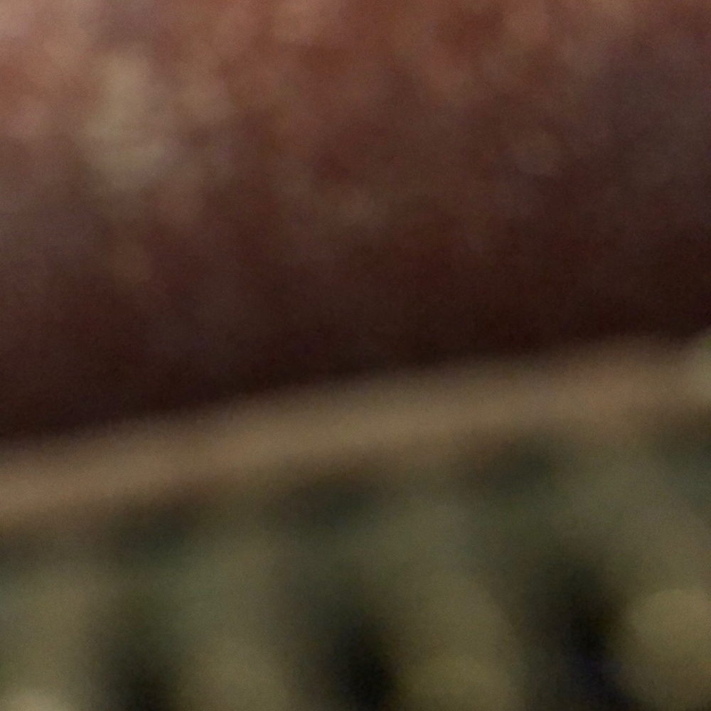 Meet your Posher, Raine